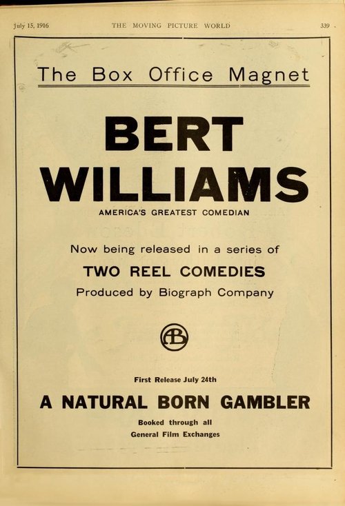 A Natural Born Gambler Movie Poster Image