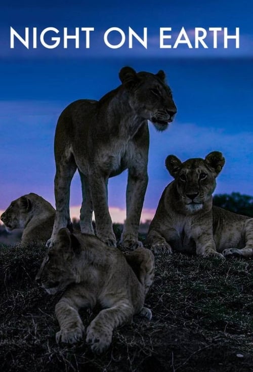 Notte sul pianeta terra