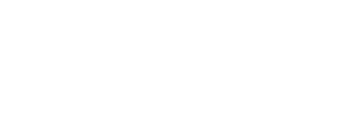 Chasing Love