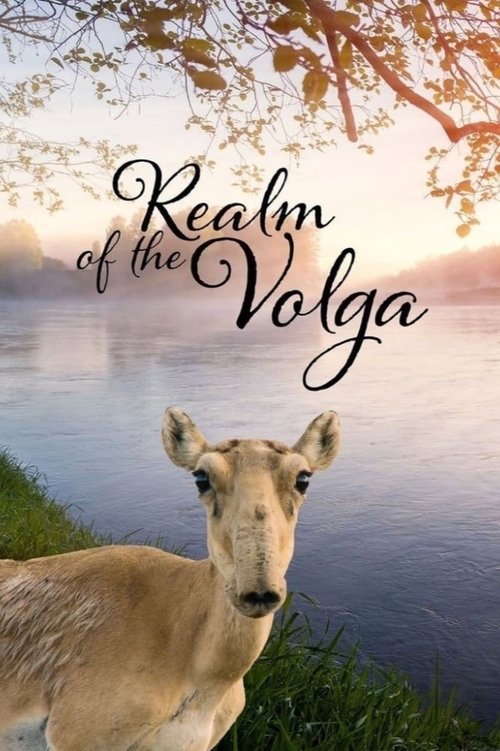 Realm of the Volga (2019)