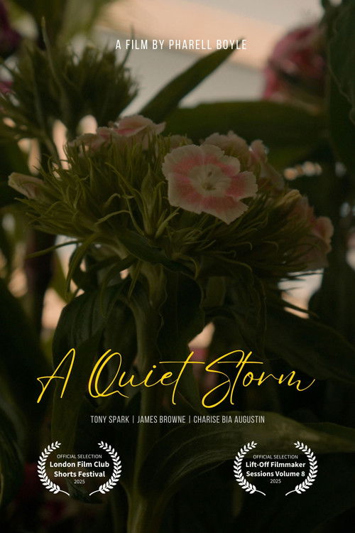 Cartell de A Quiet Storm