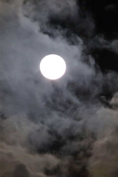 Moonlight of the Shadow