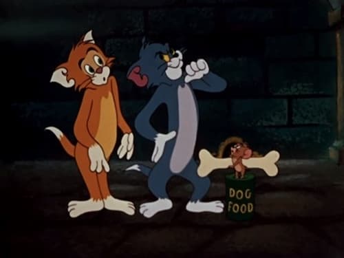 Poster della serie The Tom and Jerry Show