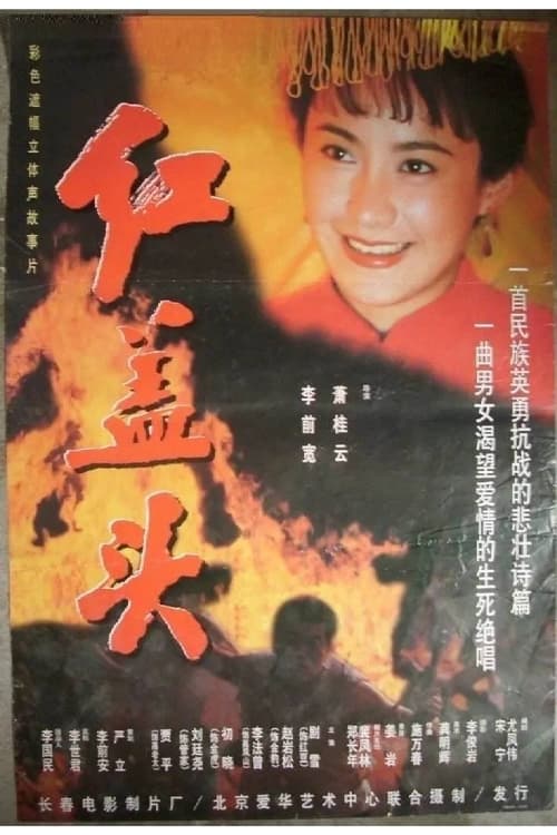 红盖头 (1996) poster