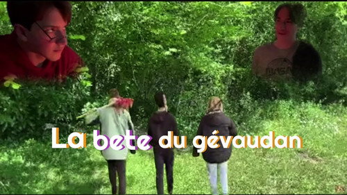 La Bête du Gévaudan Backdrop Blur