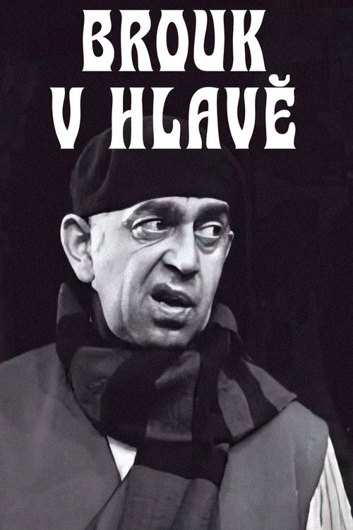 Brouk v hlavě poster