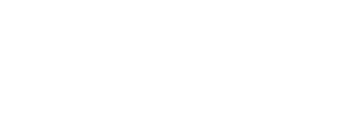 Hongos fantásticos