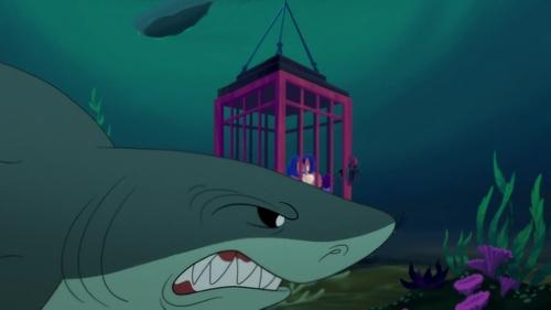 Pêche aux requins