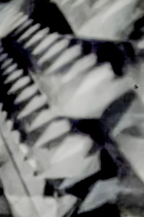 Triad Tesseraic (1992) poster