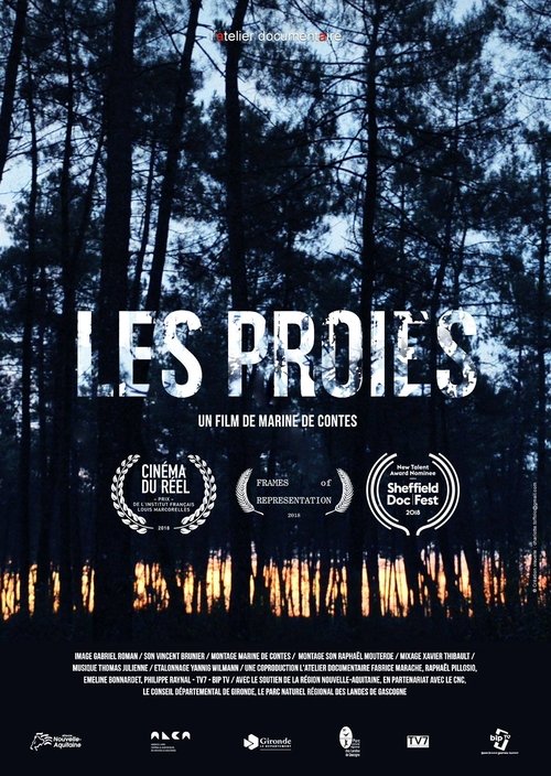 Poster image du film Les proies Les proies