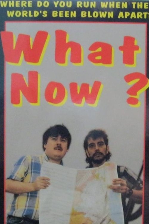 What Now? (1993) poster