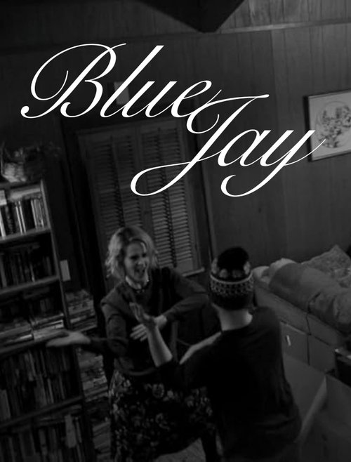 Blue Jay poster