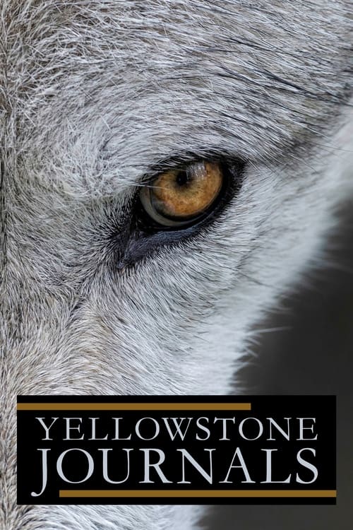 Yellowstone Journals poster