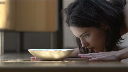Backdrop