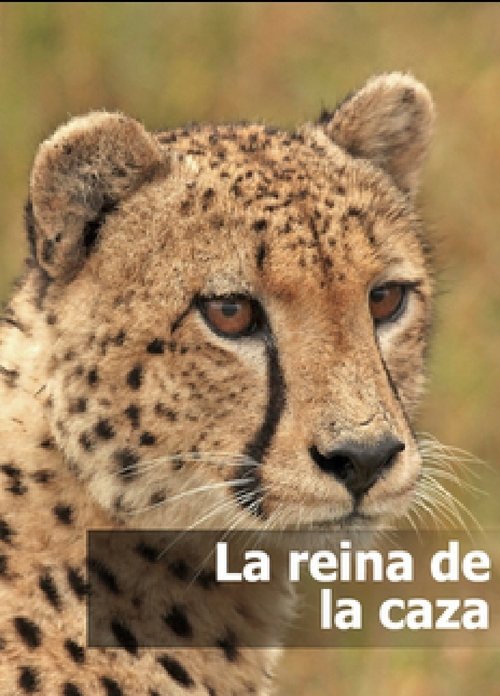 Poster de La reina de la caza