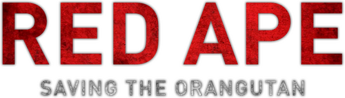 Red Ape: Saving the Orangutan
