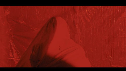 Suture Backdrop Blur