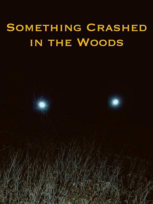 Something Crashed in the Woods 2019