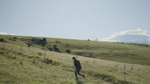 Where the Cattle Go To Drink