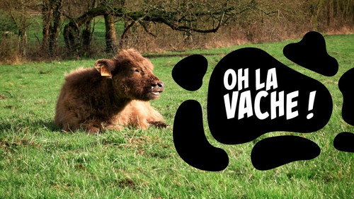 Oh la vache ! Backdrop Blur