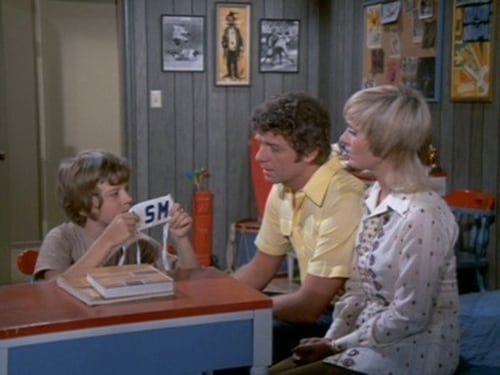 Poster della serie The Brady Bunch