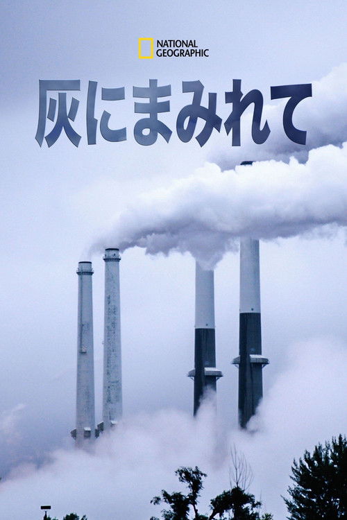 From the Ashes poster