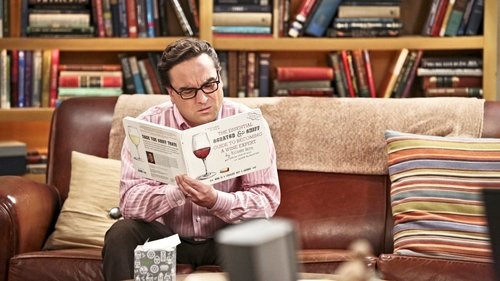 Big Bang: A Teoria: 9×22