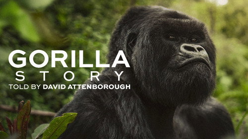 A Gorilla Story: Told by David Attenborough