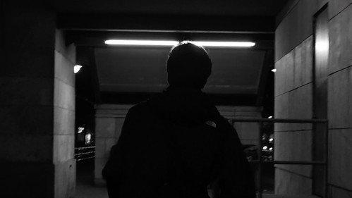 in search of the blue light Backdrop Blur