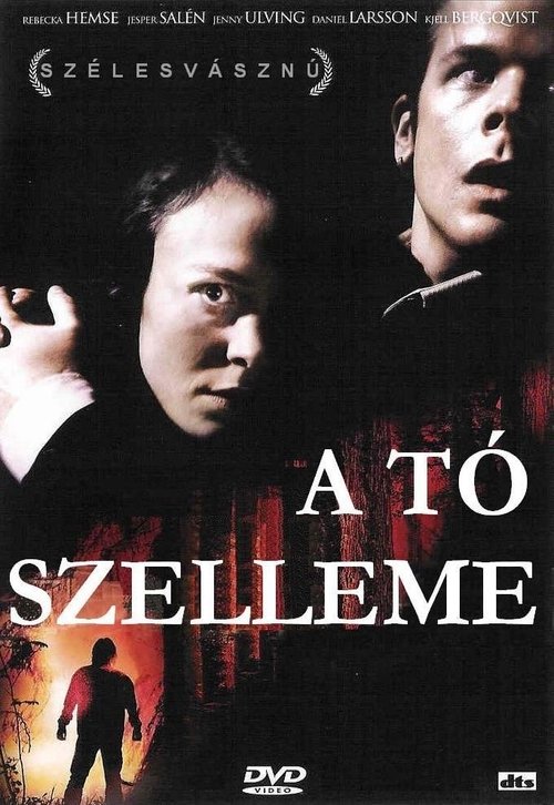 A tó szelleme movie poster player
