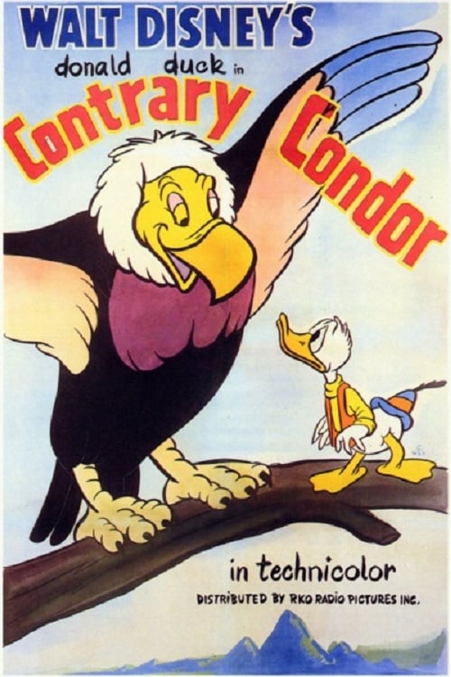 Contrary Condor (1944) poster