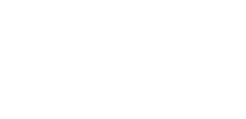 Rumble in the Bronx