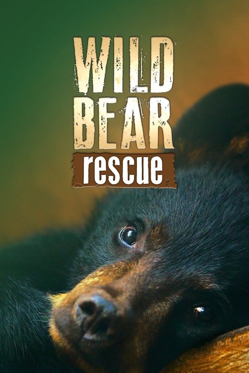 Wild Bear Rescue poster