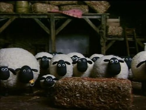 Poster della serie Shaun the Sheep