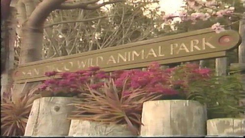 VideoTours: San Diego Wild Animal Park still