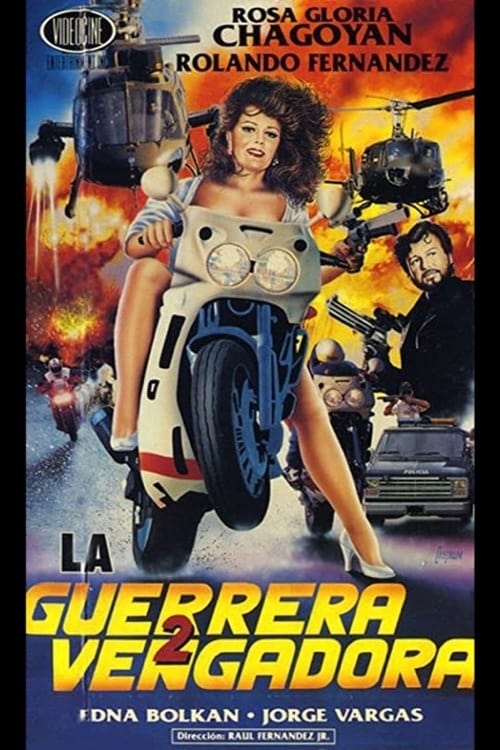 La guerrera vengadora 2 (1991) poster