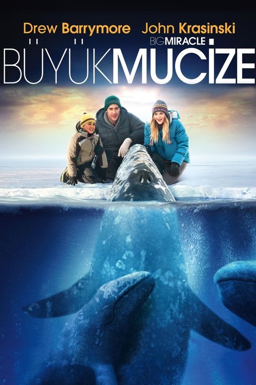 Big Miracle