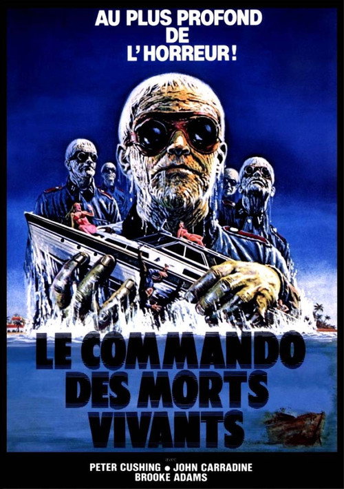 Shock Waves poster