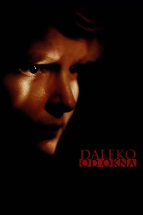 Keep Away from the Window poster