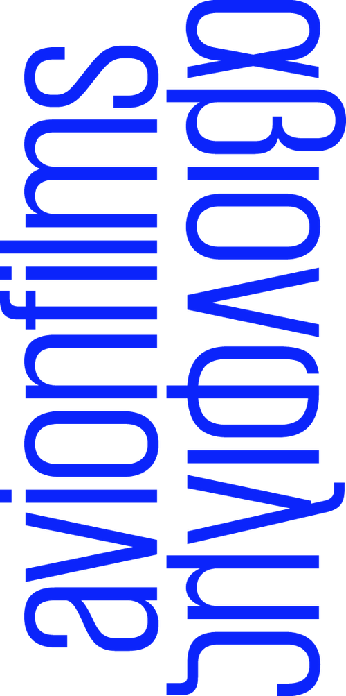 Avion Films