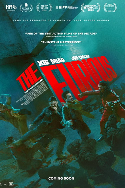 The Furious poster