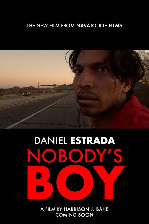 Nobody's Boy poster