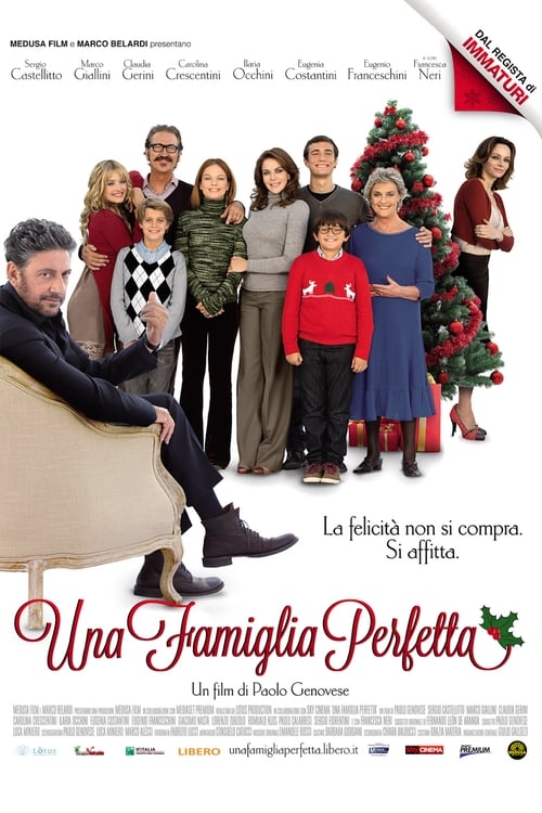 A Perfect Family (2012)