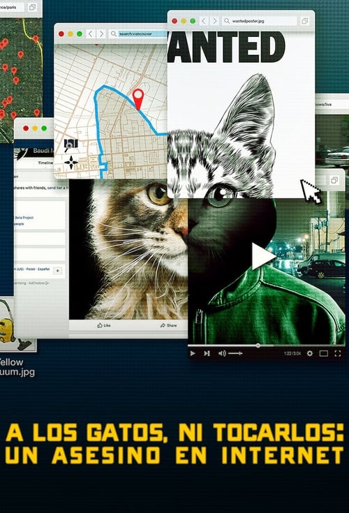 A los gatos, ni tocarlos: Un asesino en Internet poster
