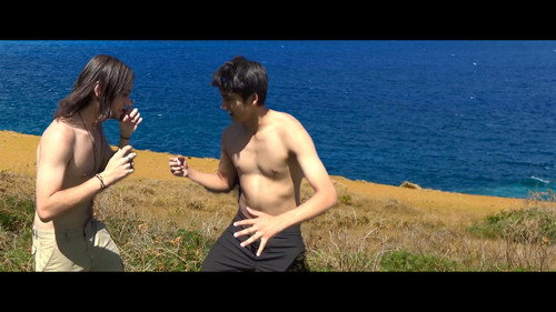 Tangata Manu: The Legend of the Man-Bird