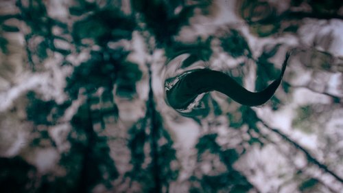 One Strange Rock: 1×3