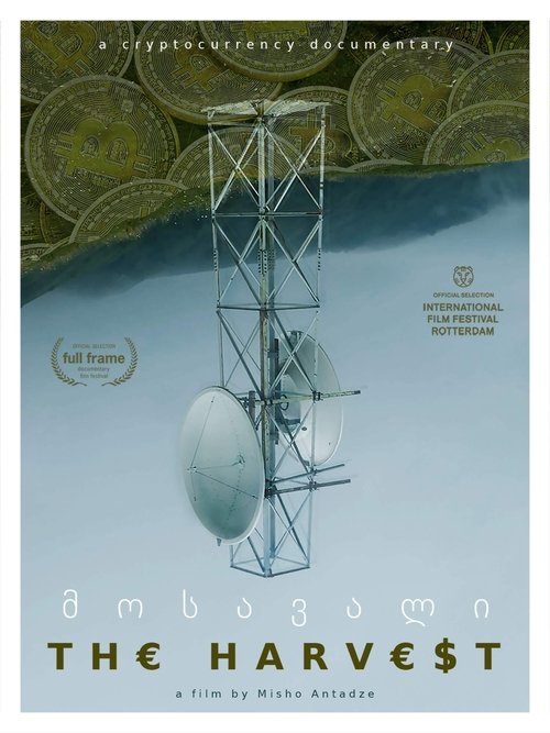 მოსავალი movie poster player