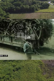 Sweetness in Abundance Everywhere poster