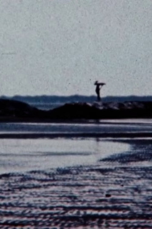 The Light of Early Spring