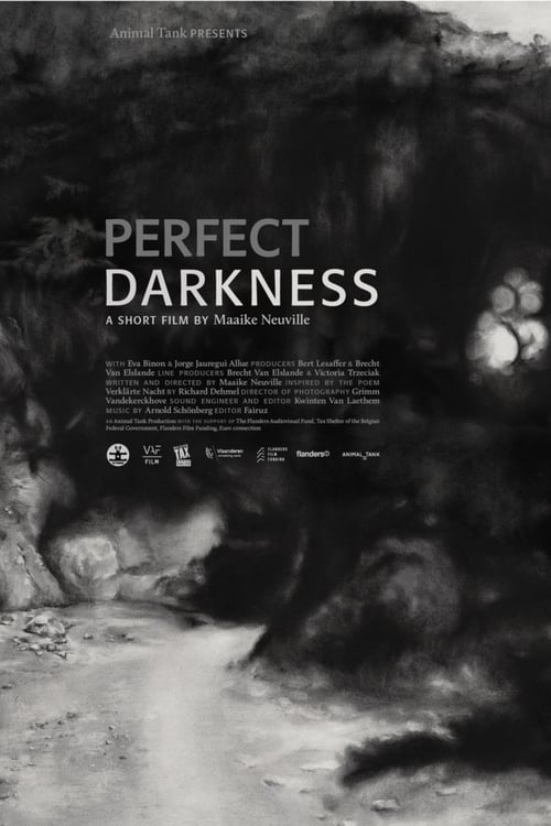 |EN| Perfect Darkness